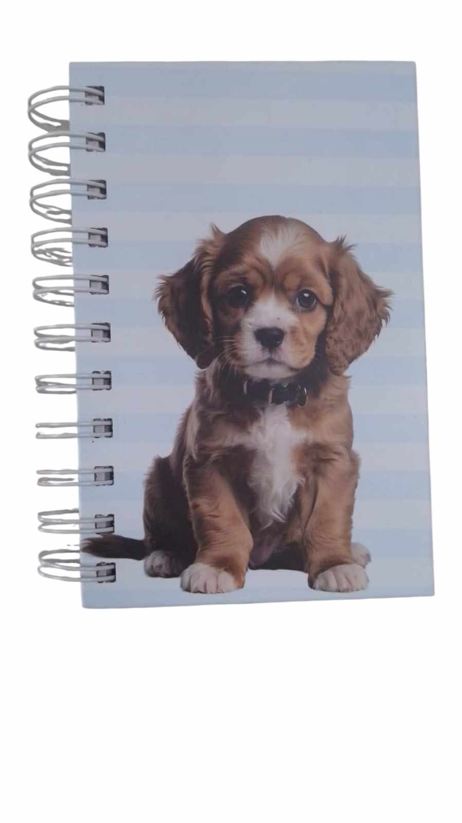 Agenda diária love pe