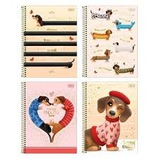 Cad Cd Univ Brownie 1M 80F